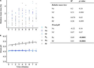 Fungal and Bacterial Diversity Patterns of Two Diversity Levels Retrieved From a Late Decaying Fagus sylvatica Under Two Temperature Regimes